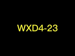 WXD4-23-3W Πολλαπλές στροφές με συρματόπλεγμα 10k 50k b500k