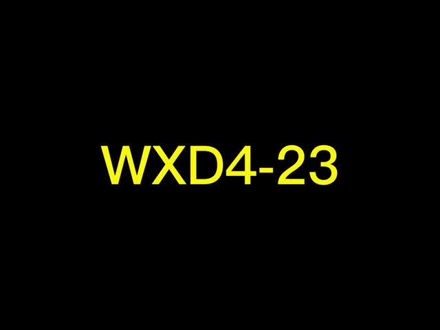 WXD4-23 Πολλαπλές στροφές 100 ωμ 3W Wirewound Potentiometer με 200V υψηλή τάση λειτουργίας